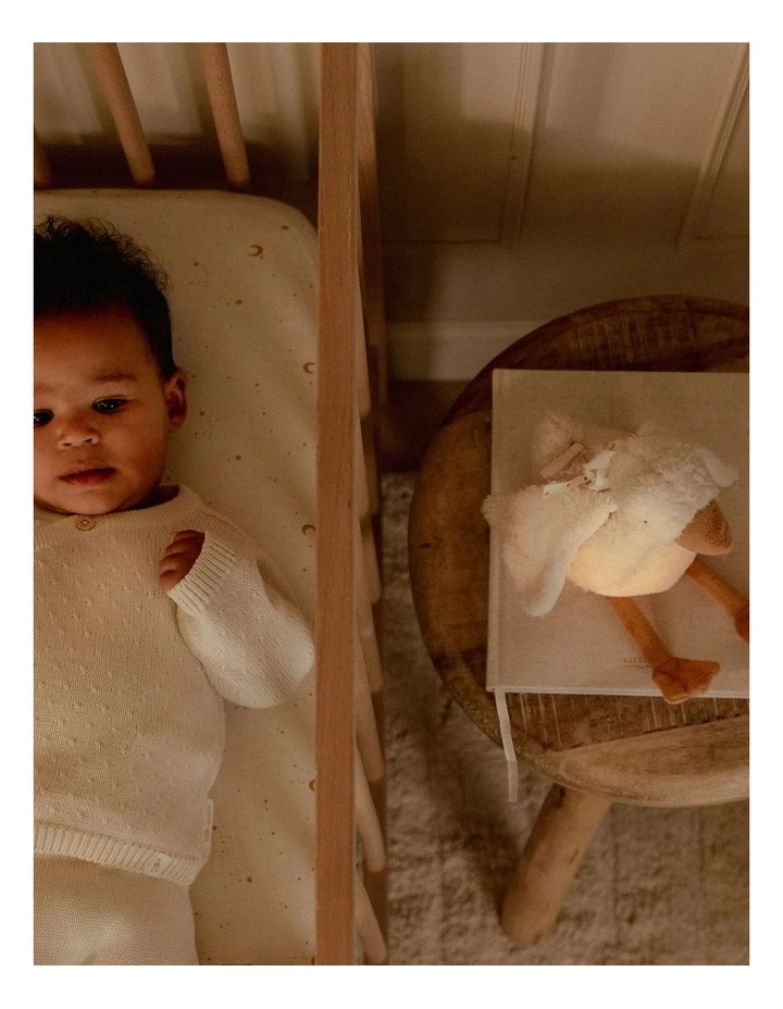 Newborn Naturals Cuddle Goose Light & Sound image 3