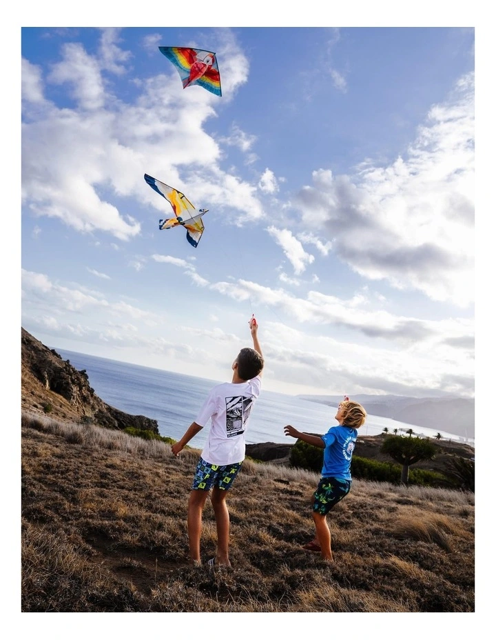 Decathlon | Kids static kite - MFK 100 Parrot image 2