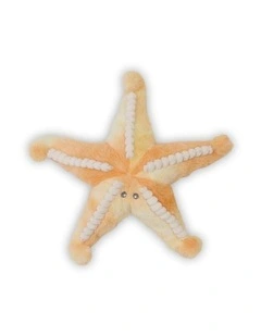 Plush Toy - Sunny the Starfish