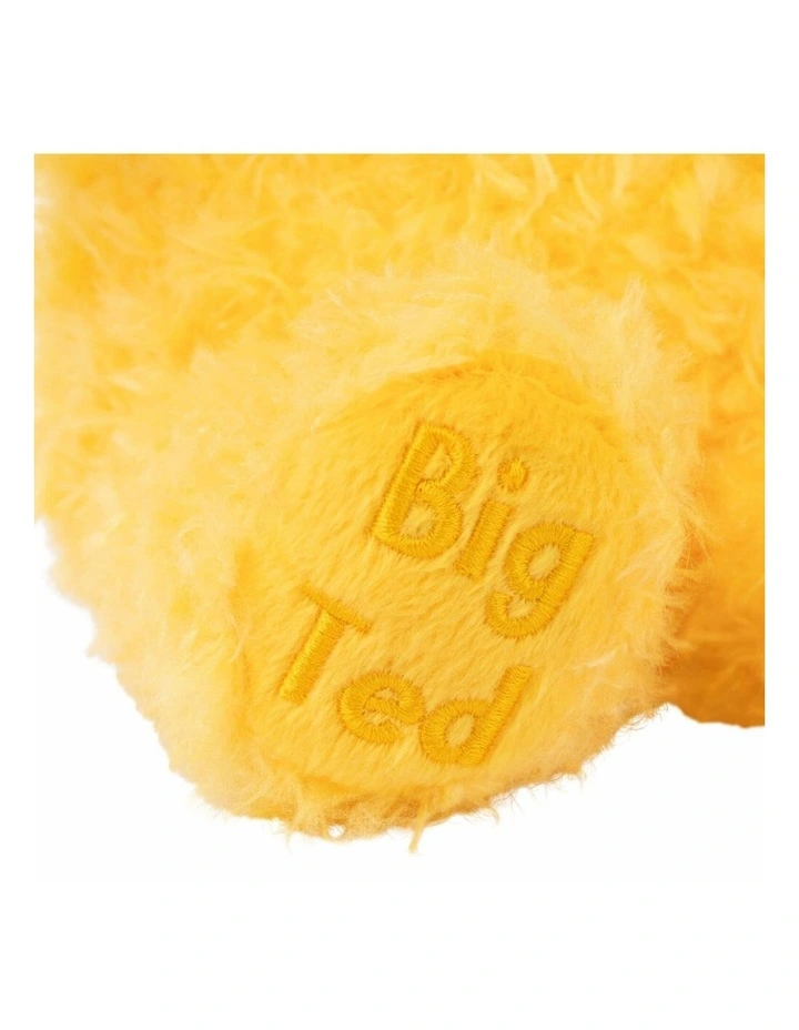 Play School Big Ted Plush Bear 22cm ? Adorable Soft Toy Gift for Ages 1 image 5