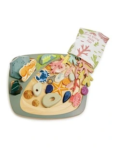 Tender Leaf Toys 35cm My Little Rock Pool Seashell Wood Toy Set w/ Pouch Kids 3 