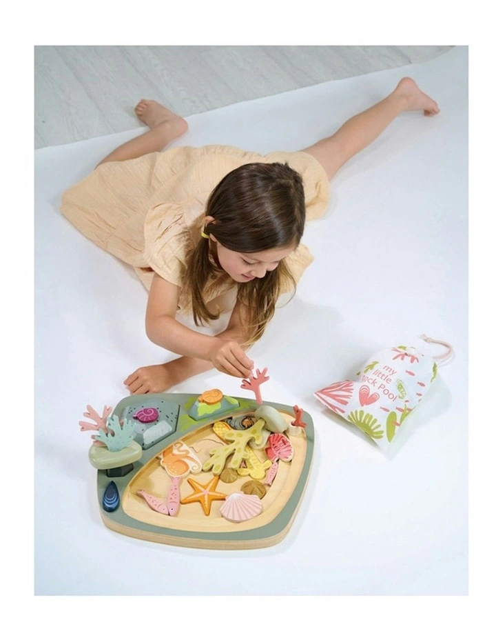 Tender Leaf Toys 35cm My Little Rock Pool Seashell Wood Toy Set w/ Pouch Kids 3 image 7