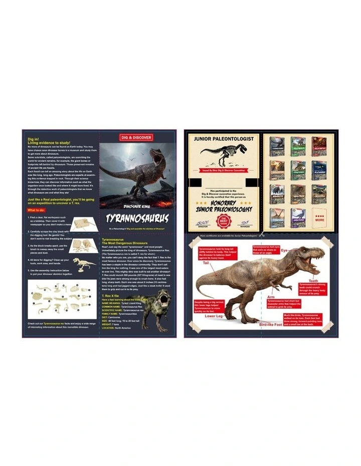 Kaper Kidz Dig Discover Tyrannosaurus Rex Excavation Kit Kids 6y  Science image 4