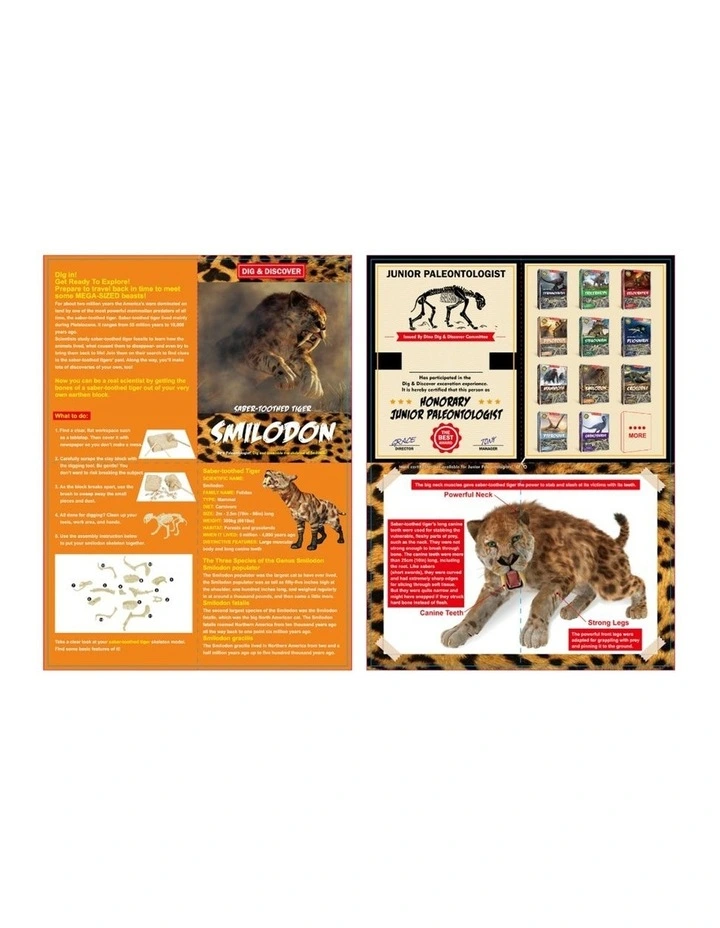 Kaper Kidz Dig & Discover Saber-Toothed Tiger Dinosaur Skeleton Kit 6y image 4