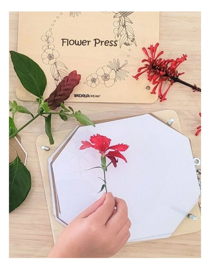 Kaper Kidz Australian Flora Flower Press Craft Kit Creativity Activity 3y image 6