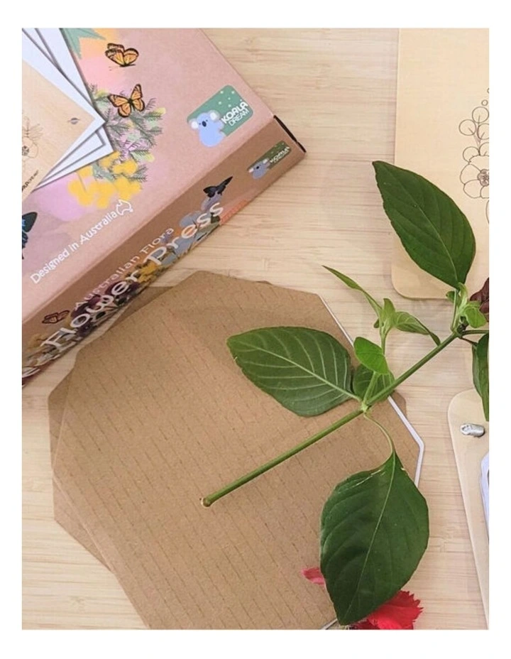Kaper Kidz Australian Flora Flower Press Craft Kit Creativity Activity 3y image 7