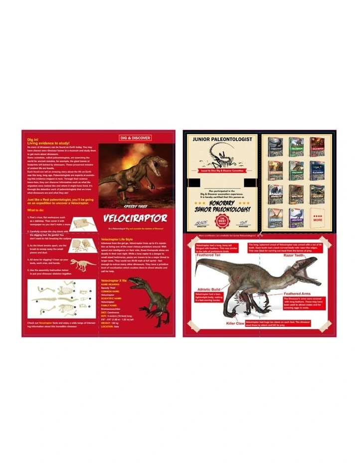 Kaper Kidz Dig & Discover Velociraptor Excavation Kit Dinosaur Toy 6y image 4
