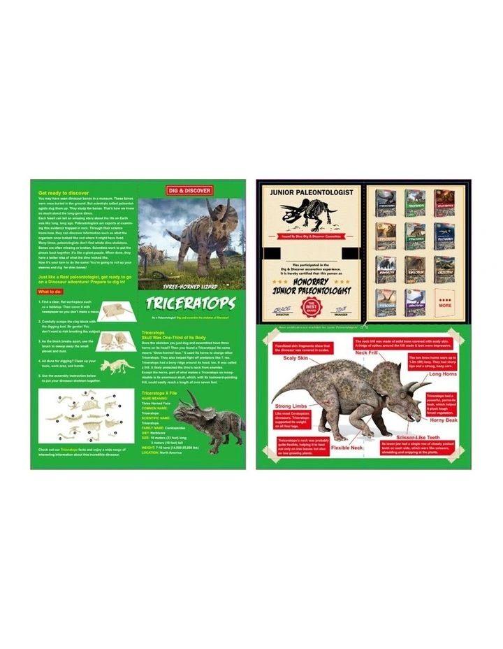 Kaper Kidz Dig & Discover Triceratops Excavation Kit Dinosaur Toy 6y image 4