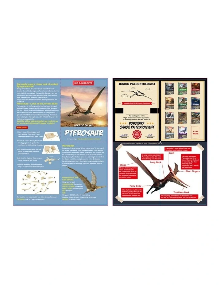 Kaper Kidz Dig & Discover Pterosaur Excavation Kit Dinosaur Toy 6y image 4