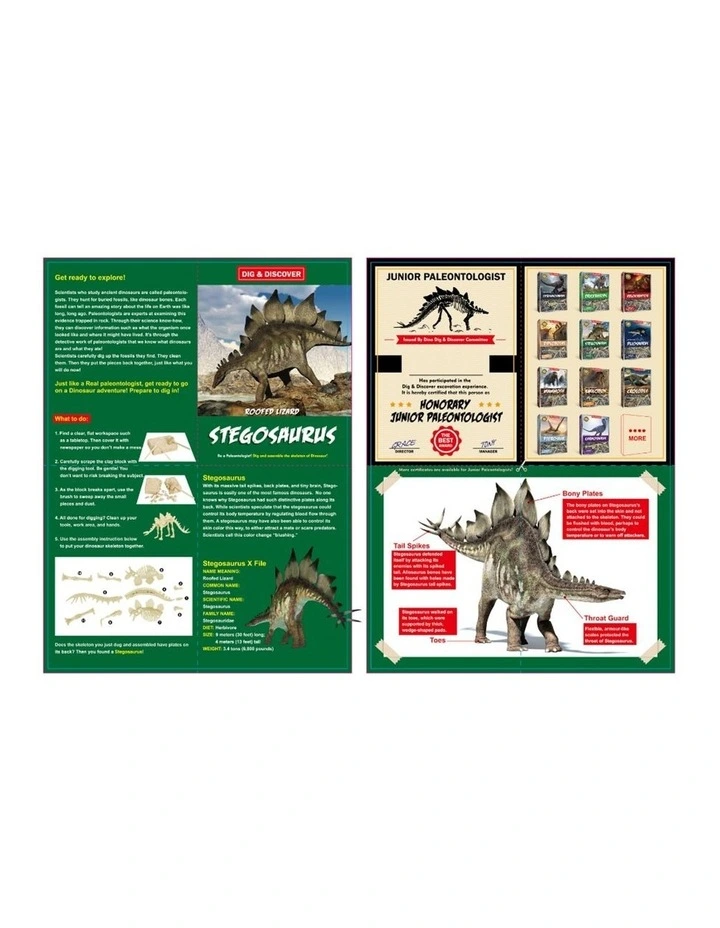 Kaper Kidz Dig & Discover Stegosaurus Excavation Kit Dinosaur Toy 6y image 4