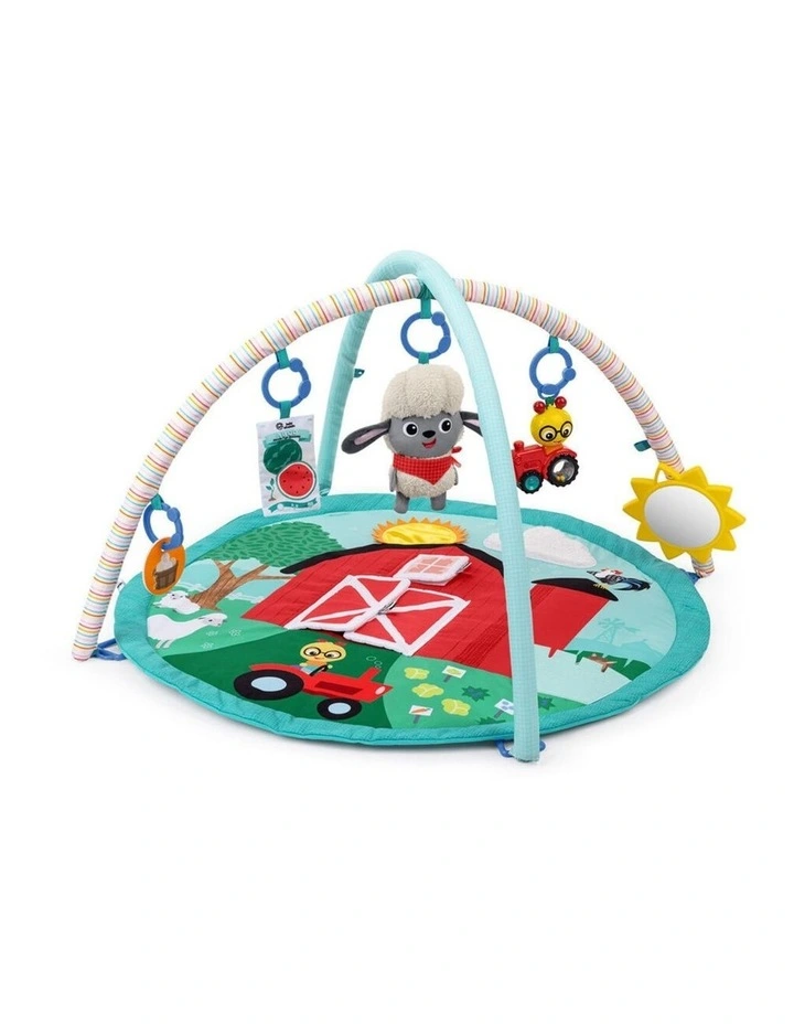 Baby Einstein Farm Explorers Happy Harvest Touch Feel Activity Gym 0m image 1