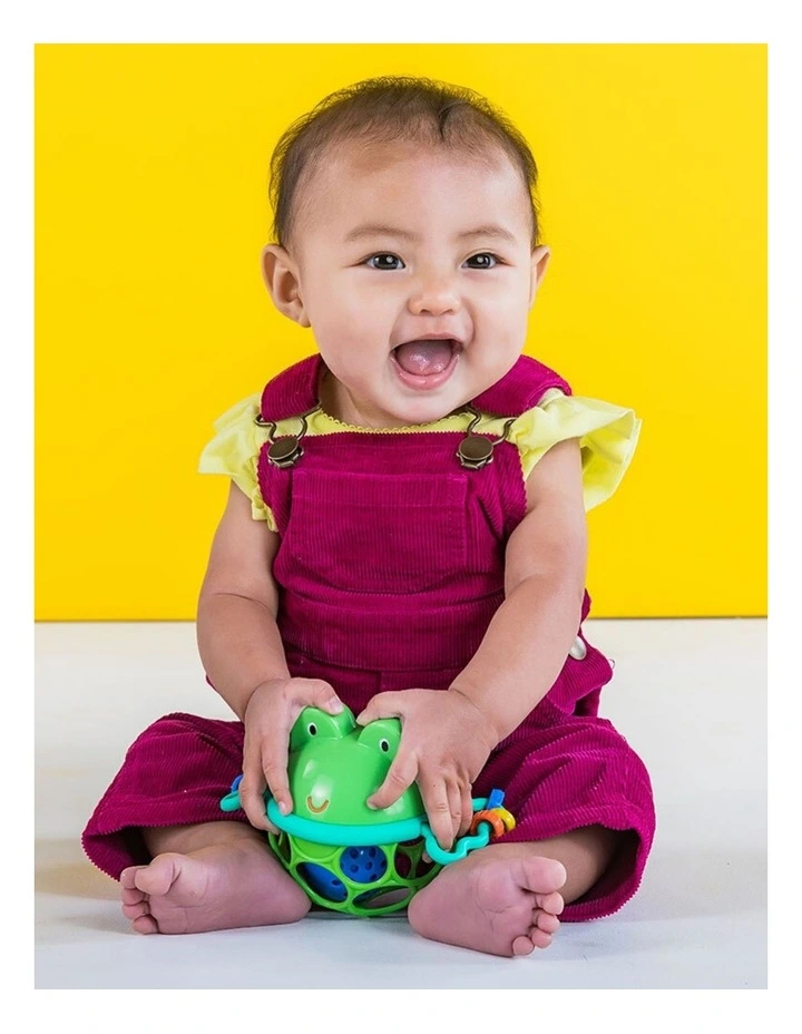 Bright Starts Oball Jingle & Shake Pal Froggy Baby Rattle Toy 0m image 3