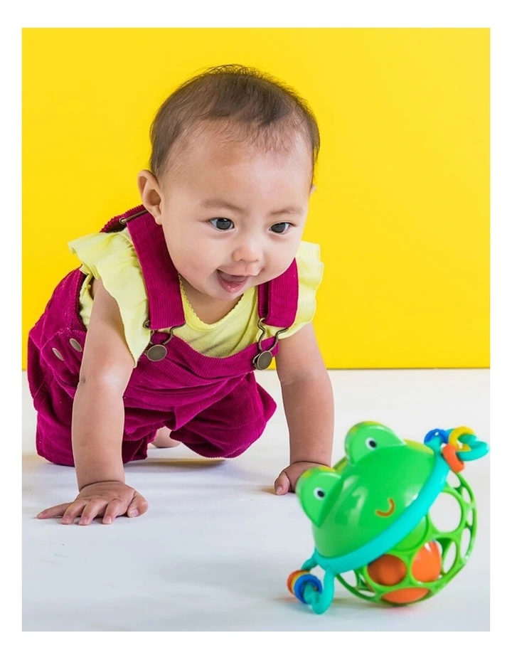 Bright Starts Oball Jingle & Shake Pal Froggy Baby Rattle Toy 0m image 4