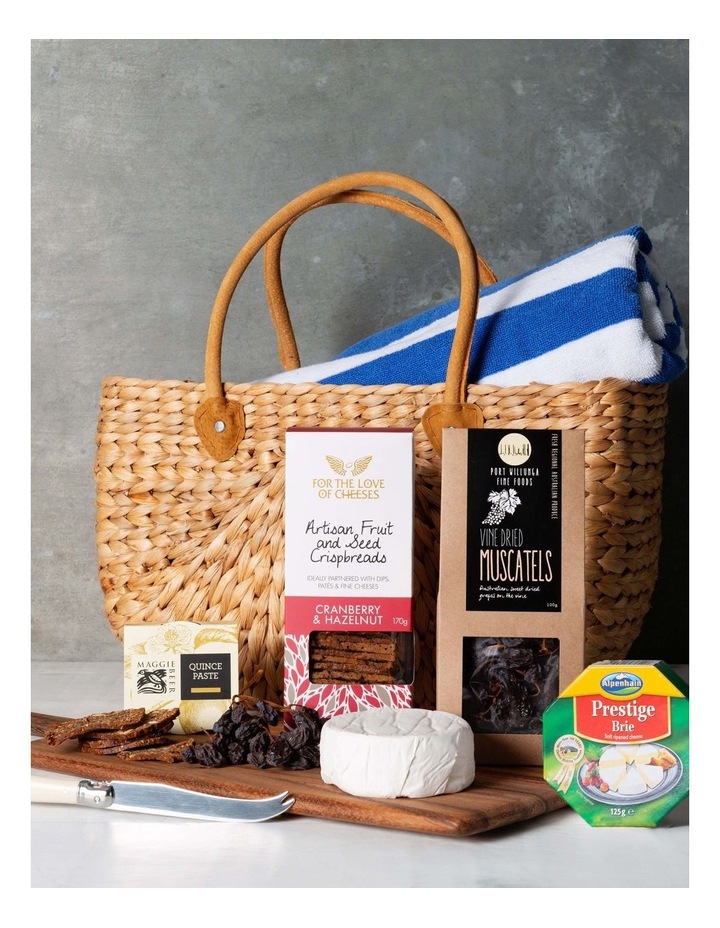 picnic backpack myer