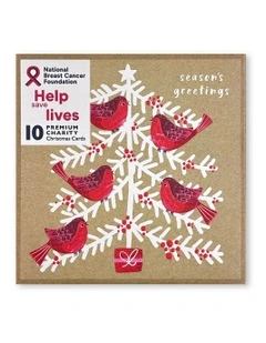 Charity Branded Boxed Christmas Cards in Multi