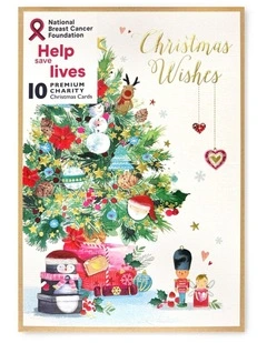 Boxed Christmas Cards in Festive Fun