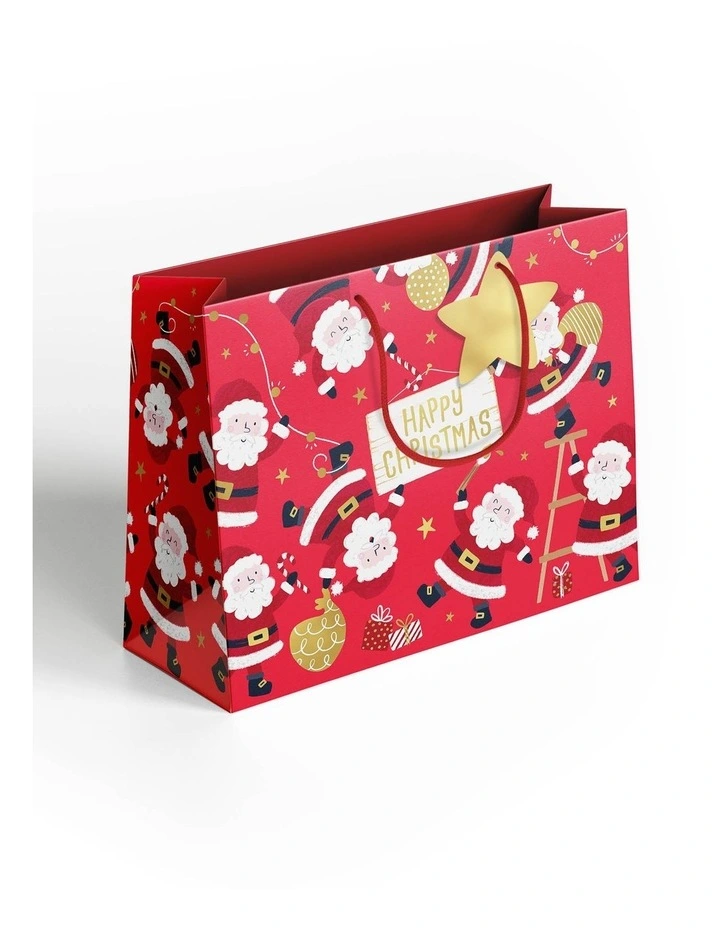 Gift Bag With Handle in Multi image 1