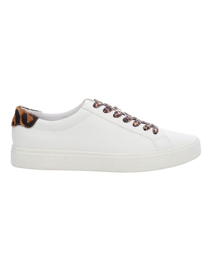 sneakers steve