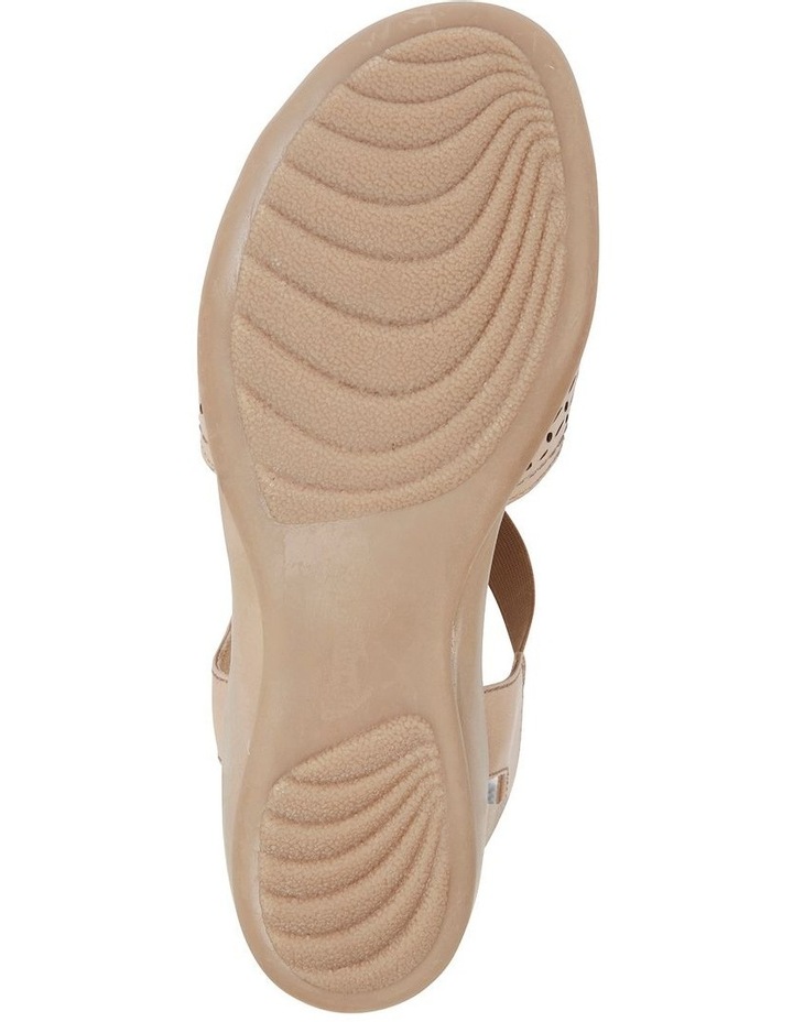 champion glove shoes