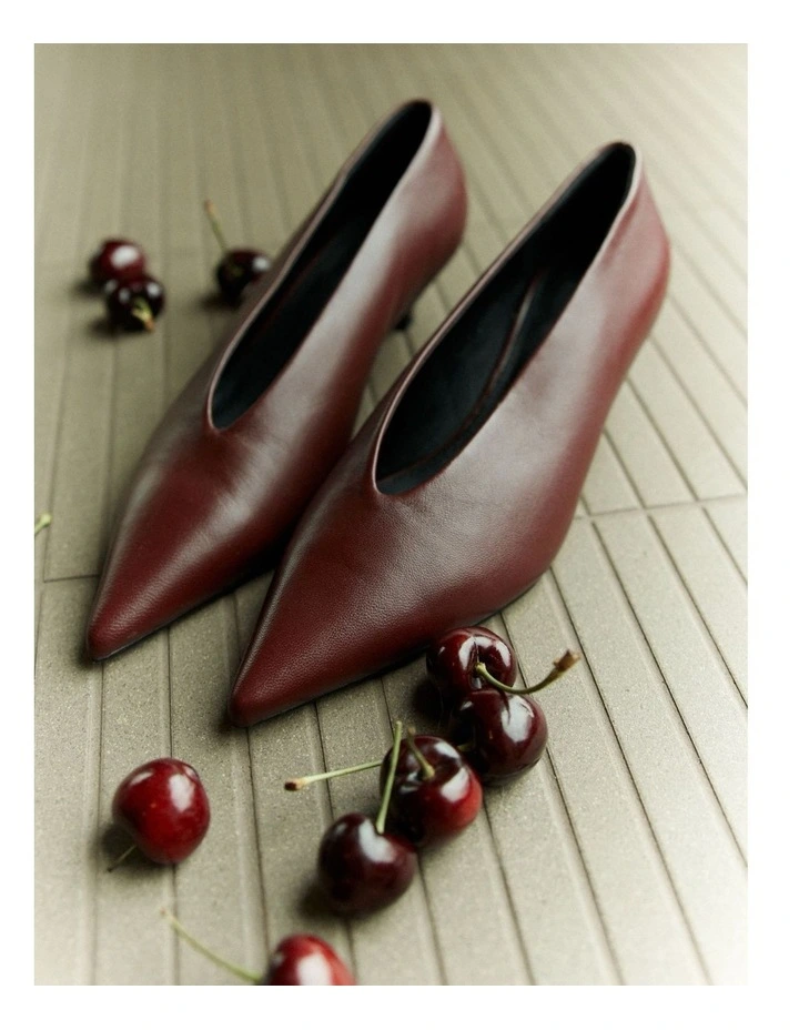 Flynn Point Toe Pumps in Wine image 3