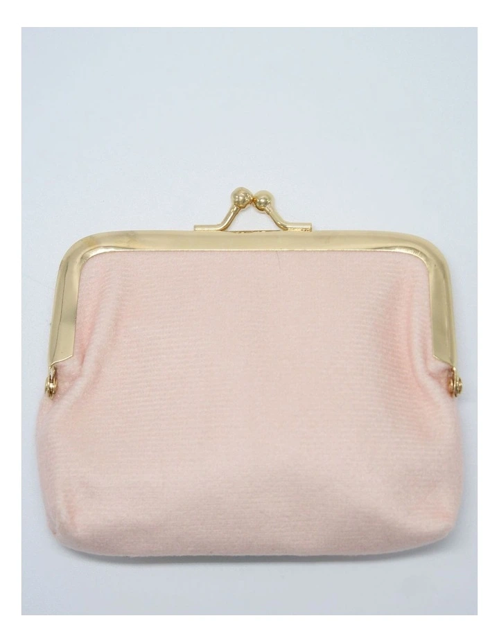Velvet Clasp Purse in Multi image 3