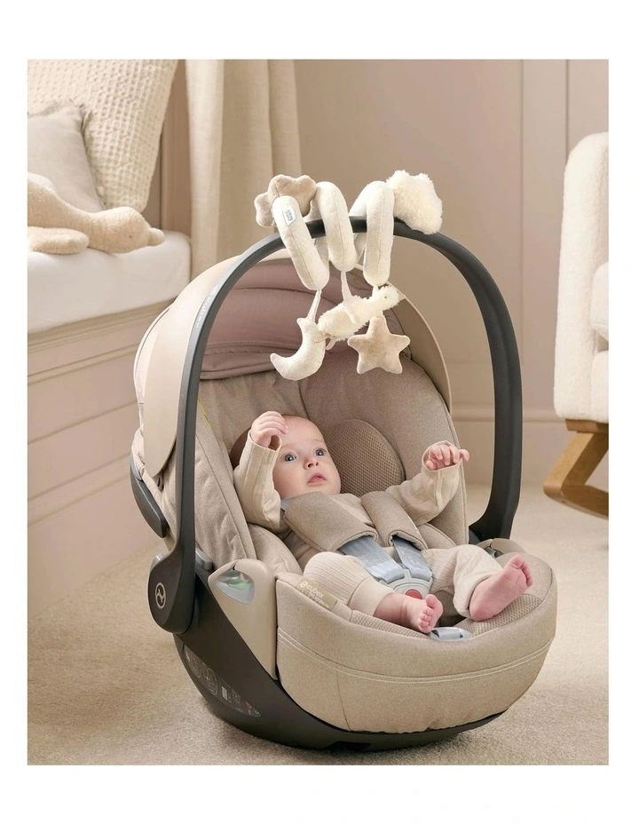 Spiral Activity Toy Welcome to the World Duckling image 3